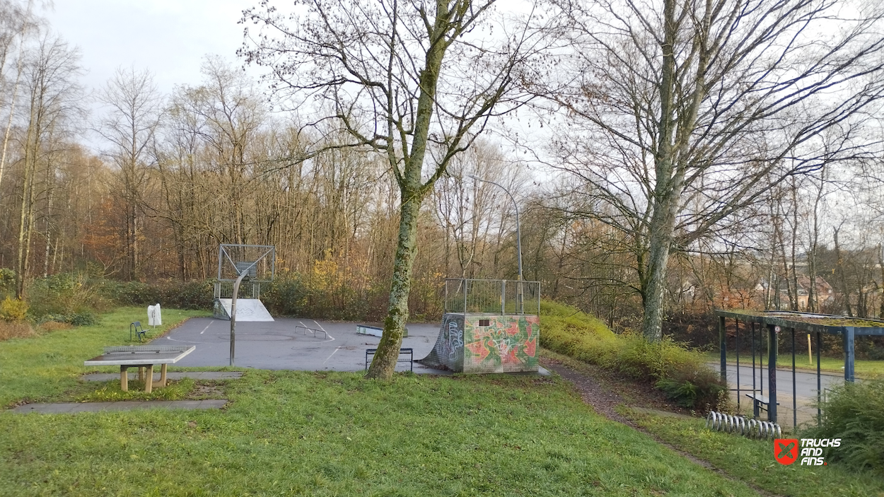 Sulzbach Altenwald Skatepark